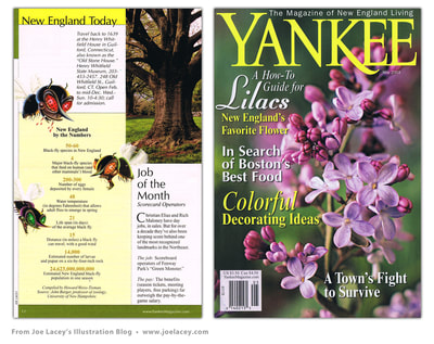 Black flies artwork / editorial illustration for Yankee Magazine by Joe Lacey.