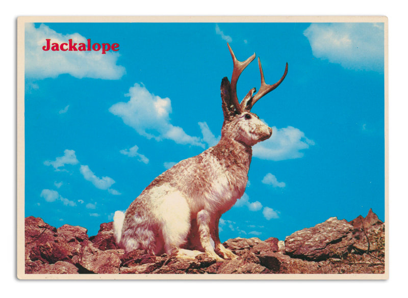Petley Frameables post card depicting a jackalope rabbit.