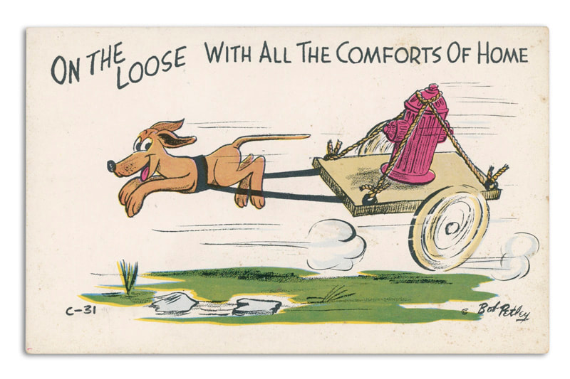A Bob Petley Laff Card postcard. "On the loose with all the comforts of home". Dog running and pulling a cart with a fire hydrant tied to it.